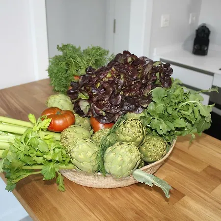 Apartmán Sol Y Playa